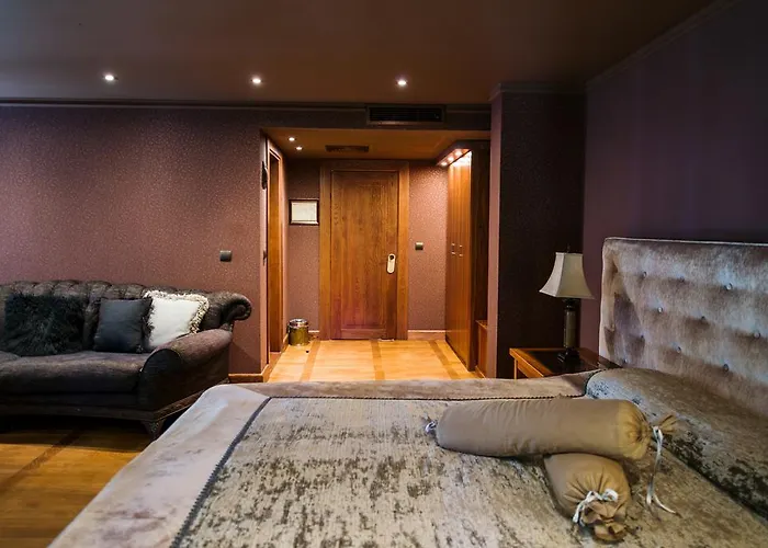 ホテル Ventura Boutique 3*