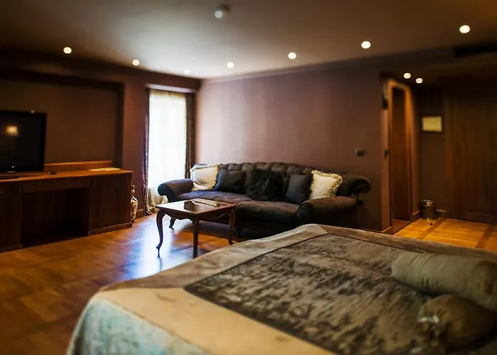 Ventura Boutique ホテル